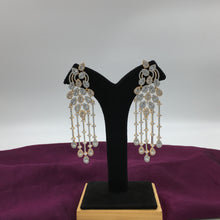 Danglers Zircon/AD Earring 10734-69
