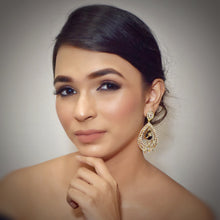 Designer Danglers Zircon/AD Earring 8846-100 - Dazzles Jewellery
