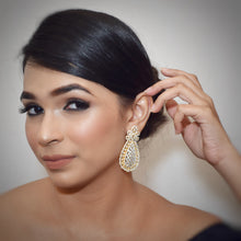 Danglers Zircon/AD Earring 8832-100 - Dazzles Jewellery