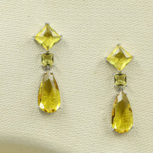 Danglers Fashion Earring 10430-28