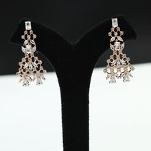 Zircon/AD Earrings Danglers 6068-100