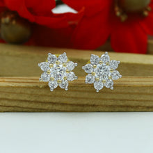 Tops/Studs Zircon/AD Earring 15260-69