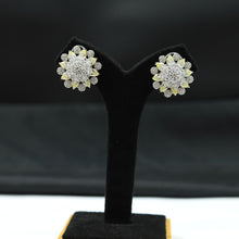 Silver Polish Zircon/AD Earring 6716-69