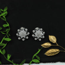 Silver Polish Zircon/AD Earring 6716-69