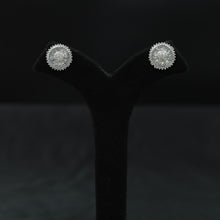 Silver Zircon/AD Earring 8958-3118