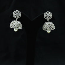 Silver Zircon/AD Earring 18052-5234