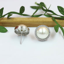 Silver Plated Zircon/AD Stud Earring 18401-5583