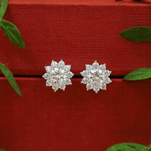 Tops/Studs Zircon/AD Earring 20118-08