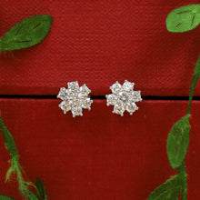 Tops/Studs Zircon/AD Earring 20105-08