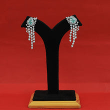 Danglers Zircon/AD Earring 16284-69