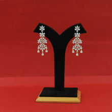Danglers Zircon/AD Earring 16253-69