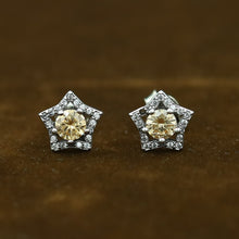 925 pure Silver Earring 15183-2330