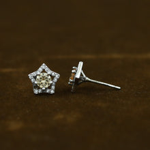 925 pure Silver Earring 15183-2330