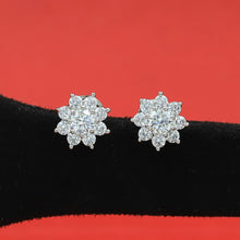 Tops/Studs Zircon/AD Earring 16279-69