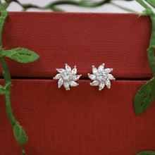 Tops/Studs Zircon/AD Earring 20116-08