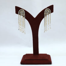 Danglers Zircon/AD Earring 20141-08