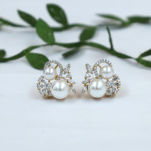 Tops/Studs Zircon/AD Earring 20147-08