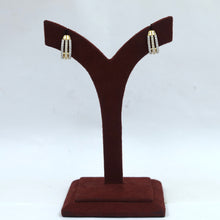 Bali Zircon/AD Earring 20123-08
