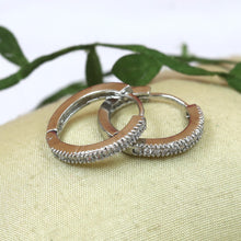 Bali Zircon/AD Earring 20113-08