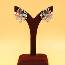 Multi Zircon/AD Earring  17764-4946