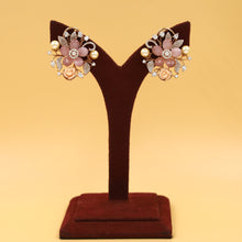 Multi Zircon/AD Earring  17764-4946