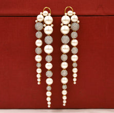 Danglers Zircon/AD Earring 17397-68