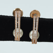 Rose Gold Zircon/AD Earring 15956-3103