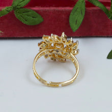 Zircon/AD Ring 20194-08