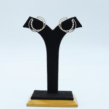 Light Earring Zircon/AD Earring 12998-34