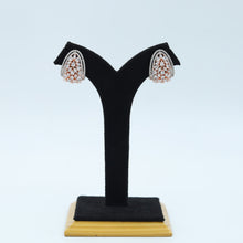 Rose Gold Zircon/AD Earring 14123-1214