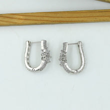 Silver Zircon/AD Earring