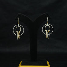 Danglers Zircon/AD Earring 11940-69