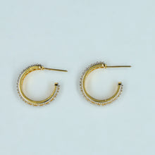 Bali Zircon/AD Earring 11942-69