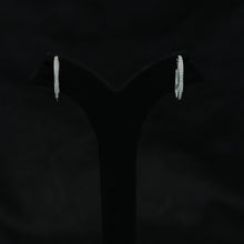 Bali Zircon/AD Earring 11947-69