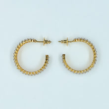 Bali Zircon/AD Earring 11915-69