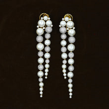 Danglers Zircon/AD Earring 17397-68