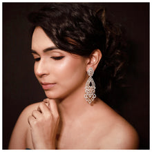 Stylish Zircon/AD Earrings 6550-1225 - Dazzles Jewellery