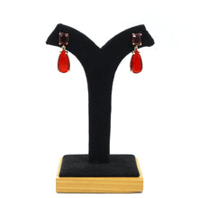 Danglers Zircon/AD Earring 16538-31