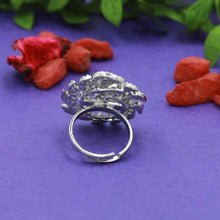 Zircon/AD Ring 15270-69