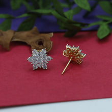 Tops/Studs Zircon/AD Earring 15255-69