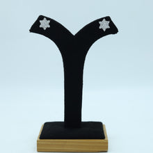 Tops/Studs Zircon/AD Earring 15255-69