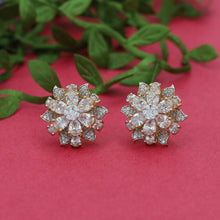 Tops/Studs Zircon/AD Earring 15278-69