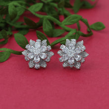 Tops/Studs Zircon/AD Earring 15278-69