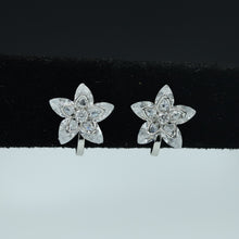 Multi Zircon/AD Earring