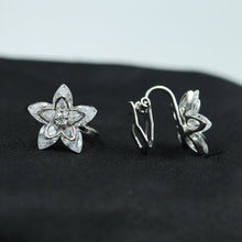 Multi Zircon/AD Earring