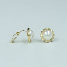 Clip On Fashion Earring 4934-33