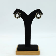 Clip On Fashion Earring 4927-33