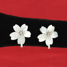 Clip On Fashion Earring 4950-33