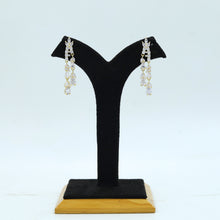 Danglers Zircon/AD Earring 16540-31