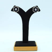 Tops/Studs Zircon/AD Earring 16285-69